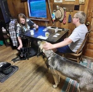 Meet your Posher, Ross